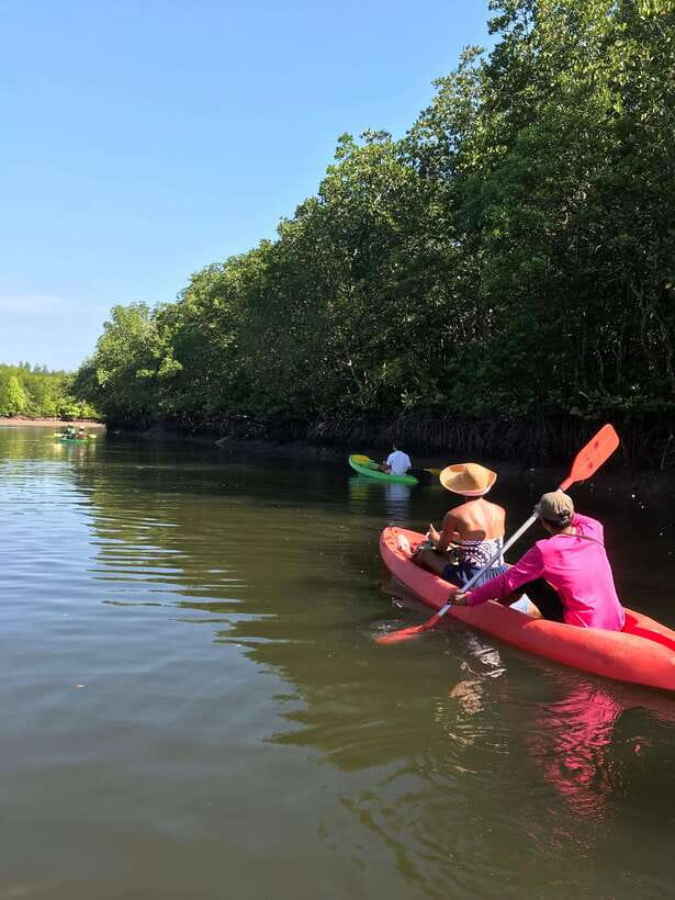 Ko Lanta: Half-Day Mangrove Kayaking Tour with Lunch - Paddling beneath the mangrove canopy