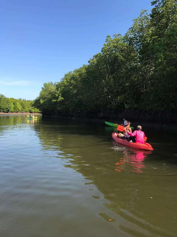 Ko Lanta: Half-Day Mangrove Kayaking Tour with Lunch - Meeting the monkey families safely