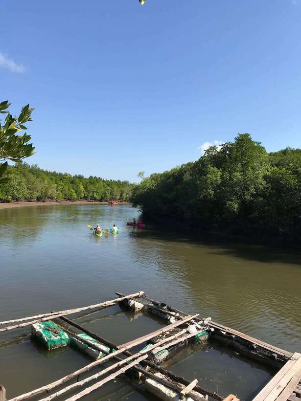 Ko Lanta: Half-Day Mangrove Kayaking Tour with Lunch - How the guides shape the experience