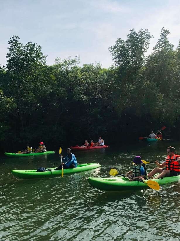 Ko Lanta: Half-Day Mangrove Kayaking Tour with Lunch - Timing, tides, and what to pack