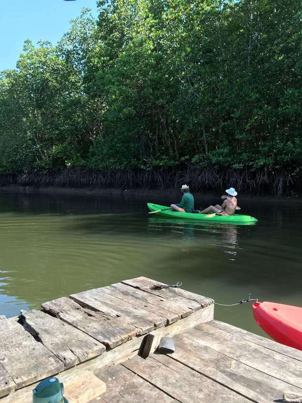 Ko Lanta: Half-Day Mangrove Kayaking Tour with Lunch - From your hotel to Tung Yee Peng Pier