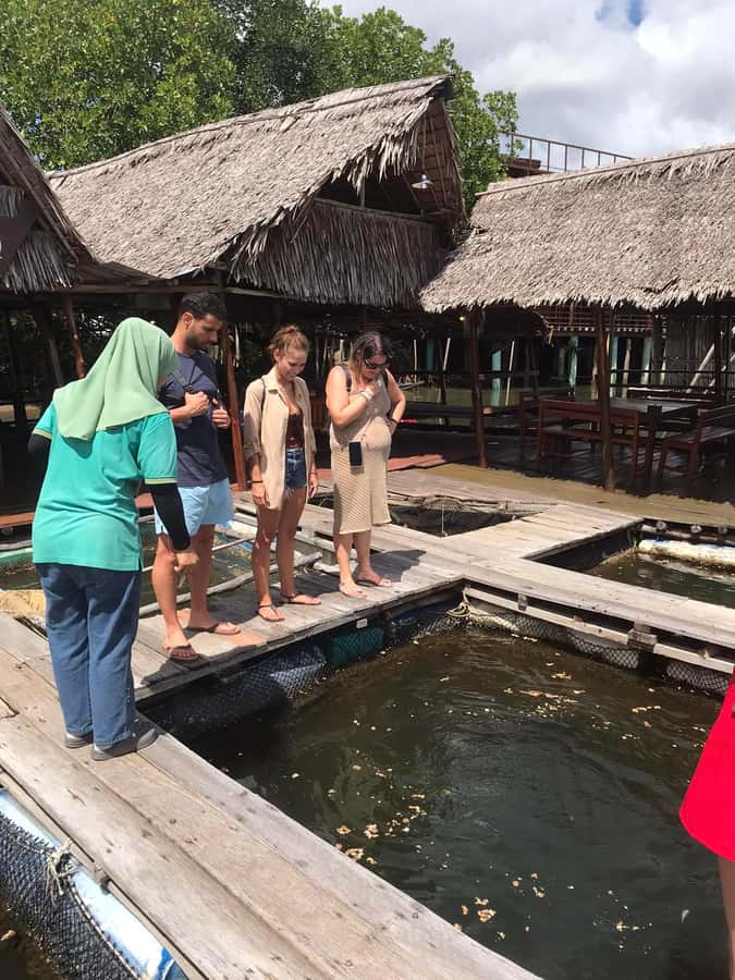 Ko Lanta: Half Day Tour Mangrove Boat Trip With Lunch - Why the guide makes a big difference