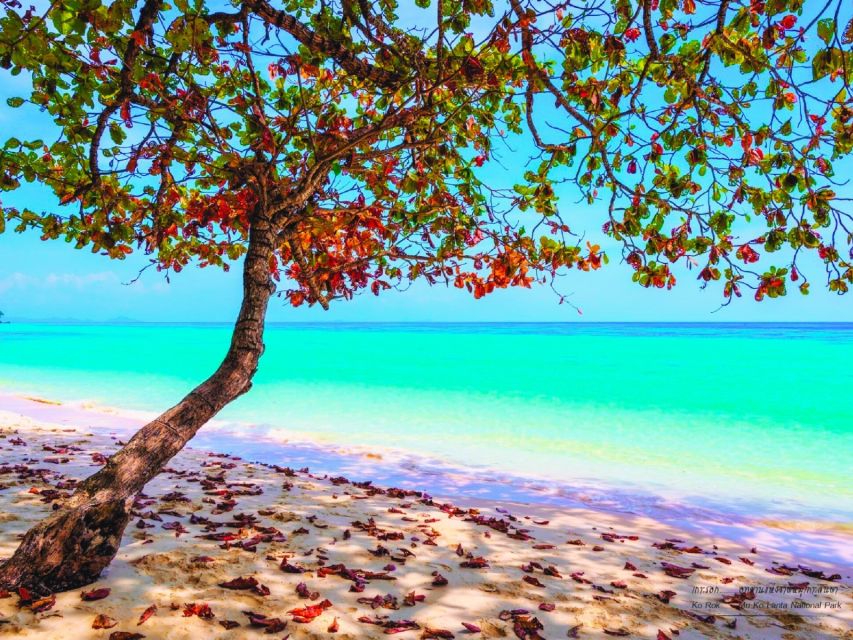 Ko Lanta: Koh Rok & Koh Haa Snorkelling Tour by Speedboat - The long ride to Koh Haa