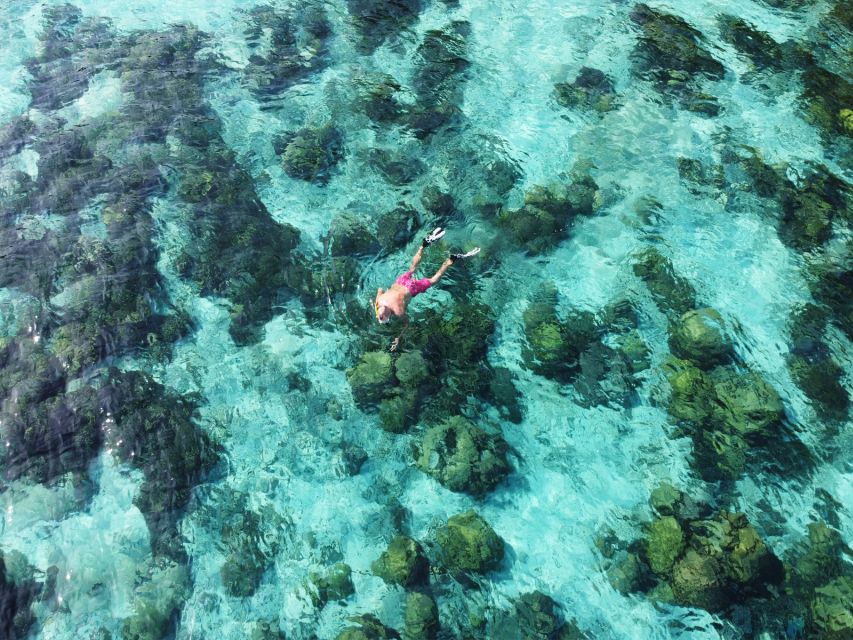 Ko Lanta: Koh Rok & Koh Haa Snorkelling Tour by Speedboat - Who will enjoy this tour most