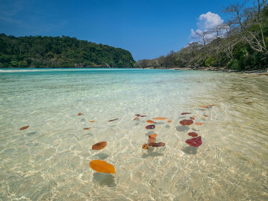Ko Lanta: Koh Rok & Koh Haa Snorkelling Tour by Speedboat - What to bring for a less awkward day