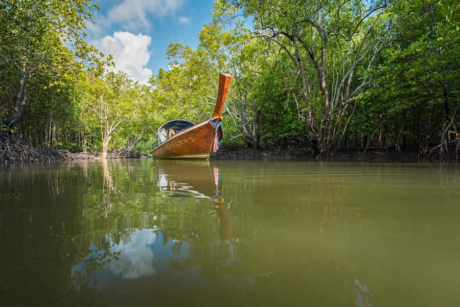 Ko Lanta: Mangrove Forest Boat Tour with Lunch or Dinner - Through Ko Lanta’s Mangrove Channels