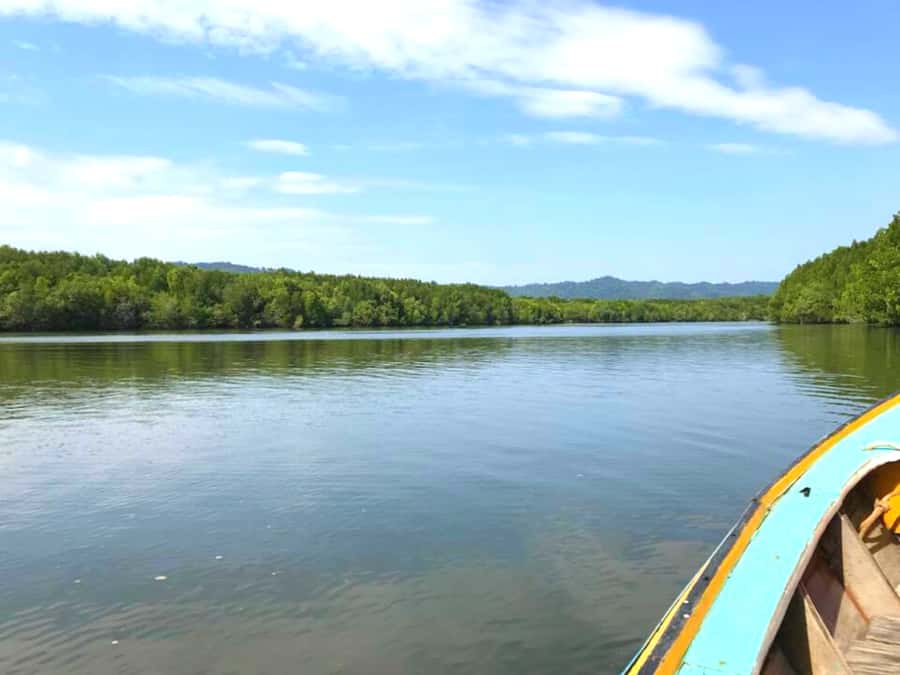 Ko Lanta: Mangrove Forest Boat Tour with Lunch or Dinner - Who Will Enjoy This Trip Most?