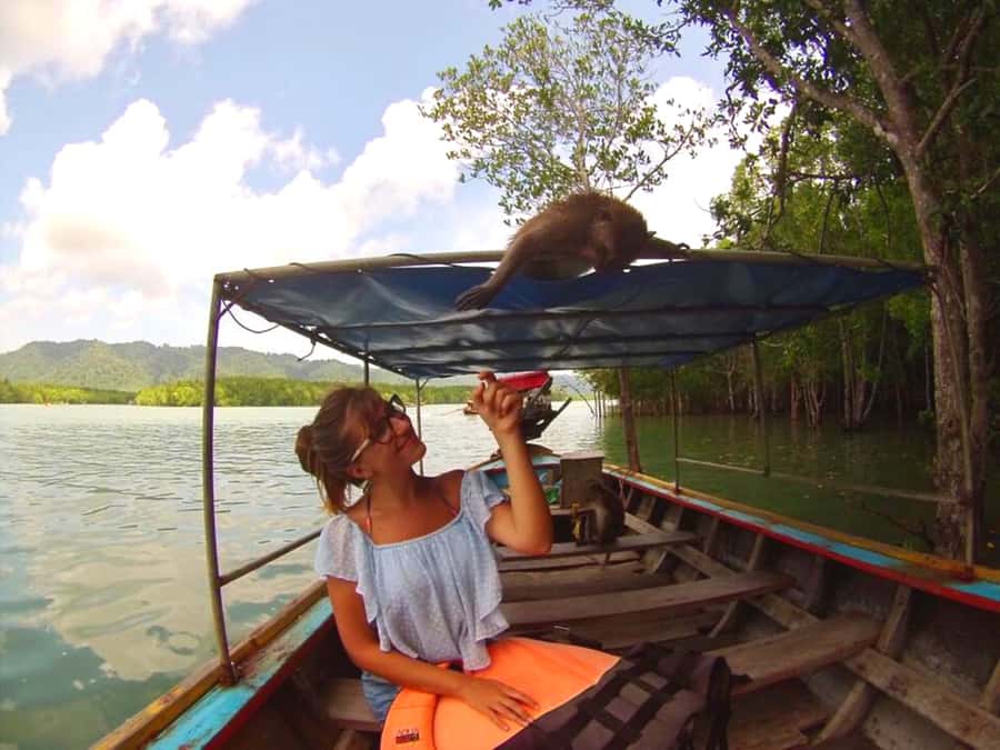 Ko Lanta: Mangrove Forest Boat Tour with Lunch or Dinner - A Traditional Longtail Boat, With Some Comfort Tradeoffs