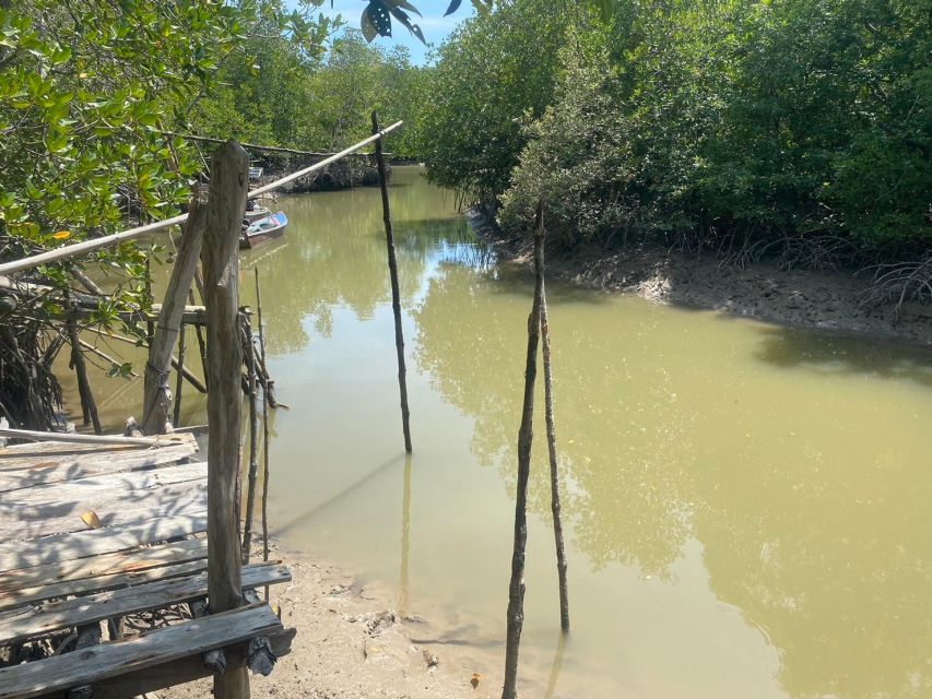 Ko Lanta: Mangrove Kayaking, Ko Talabeng, & Skull Island - Should you book it?
