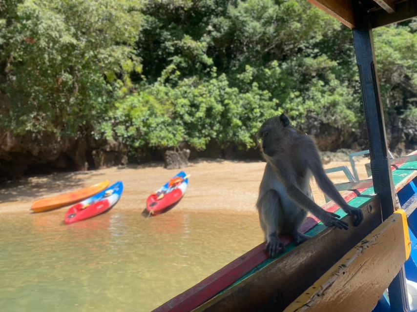 Ko Lanta: Mangrove Kayaking, Ko Talabeng, & Skull Island - Why this seven-hour outing feels different