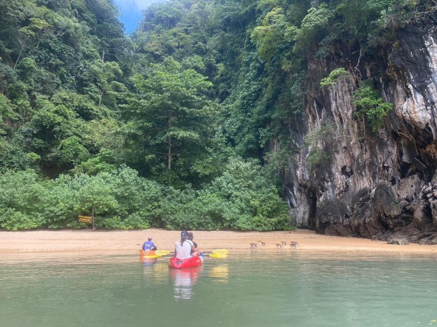 Ko Lanta: Mangrove Kayaking, Ko Talabeng, & Skull Island - Who should book this Ko Lanta adventure