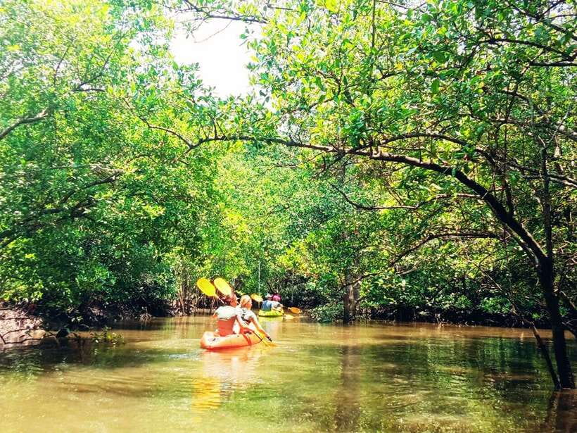 Ko Lanta: Mangrove Kayaking with Lunch and Hotel Transfer - Paddling into Tung Yee Peng’s mangrove channels