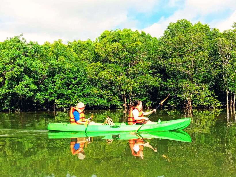 Ko Lanta: Mangrove Kayaking with Lunch and Hotel Transfer - Wildlife along the mangrove banks