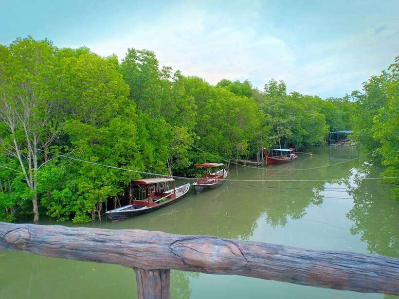 Ko Lanta: Mangrove Kayaking with Lunch and Hotel Transfer - What is included for $27