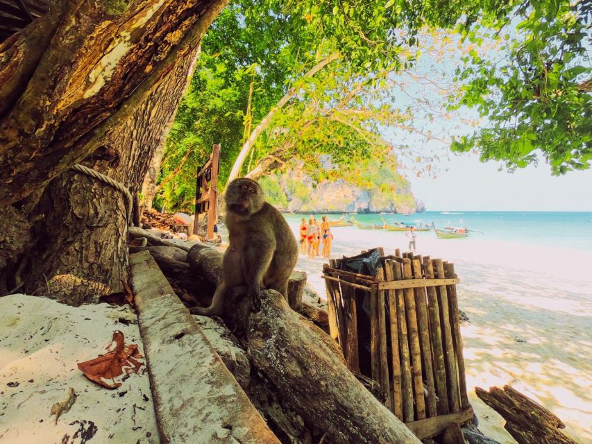 Ko Lanta: Phi Phi Day Trip by Speed Boat - The speedboat ride and what it means