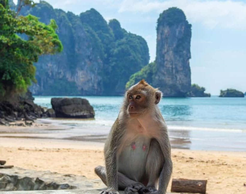 Ko Lanta: Private Exploration– Mangroves, Old Town & Beaches - Who should book this Ko Lanta tour?