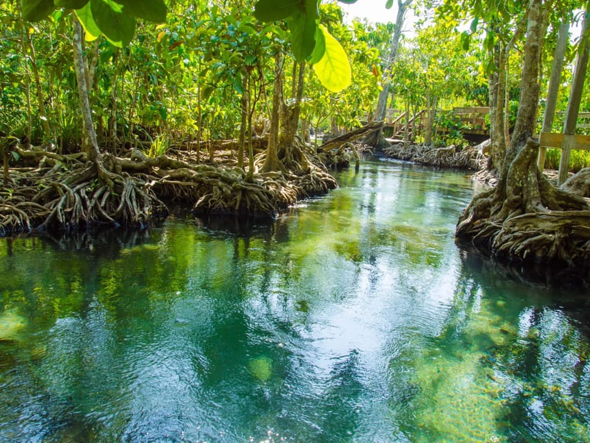 Ko Lanta: Private Exploration– Mangroves, Old Town & Beaches - Bamboo Beach is the best time for water