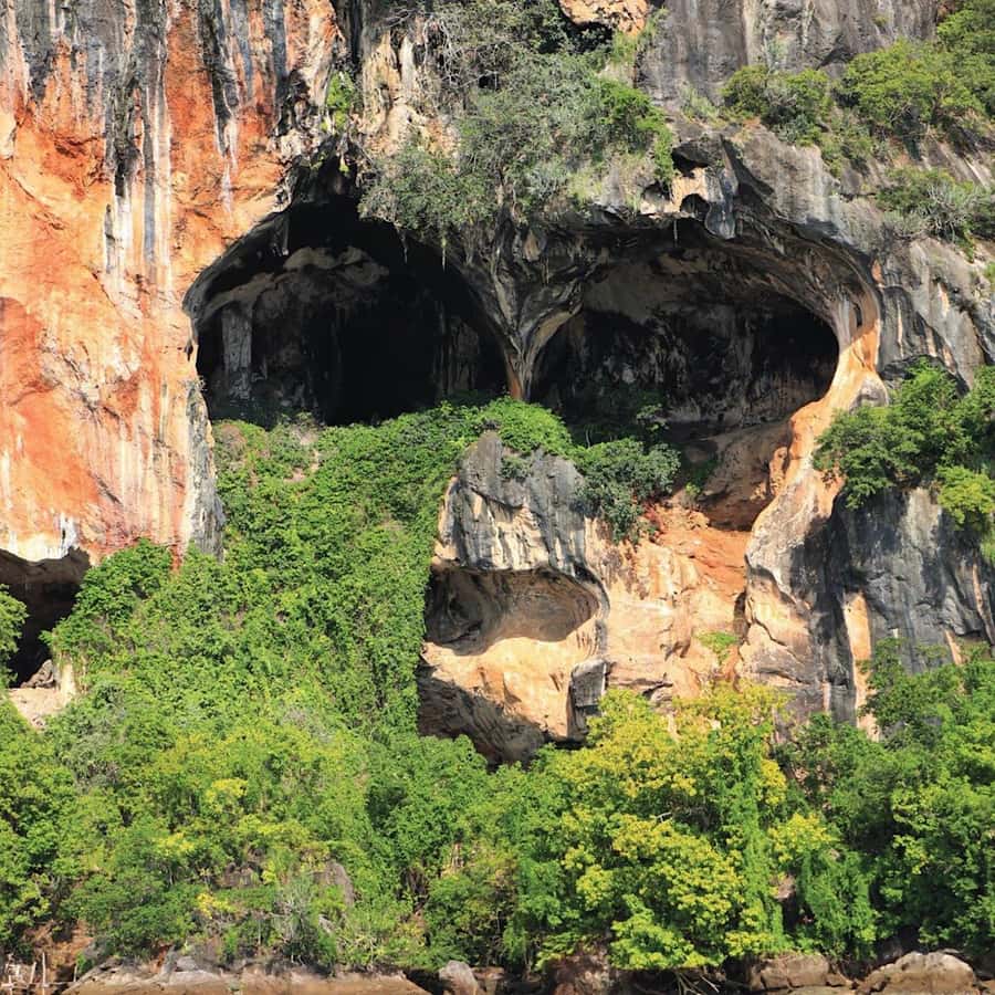 Ko Lanta: Sea Cave Kayaking Adventure Mangrove with Lunch - Starting at Tung Yee Peng and the mangrove forest