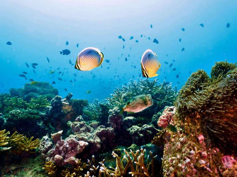 Ko Lanta: Snorkeling Adventure Tour to Koh Rok and Koh Haa - The 45-minute ride to Koh Haa