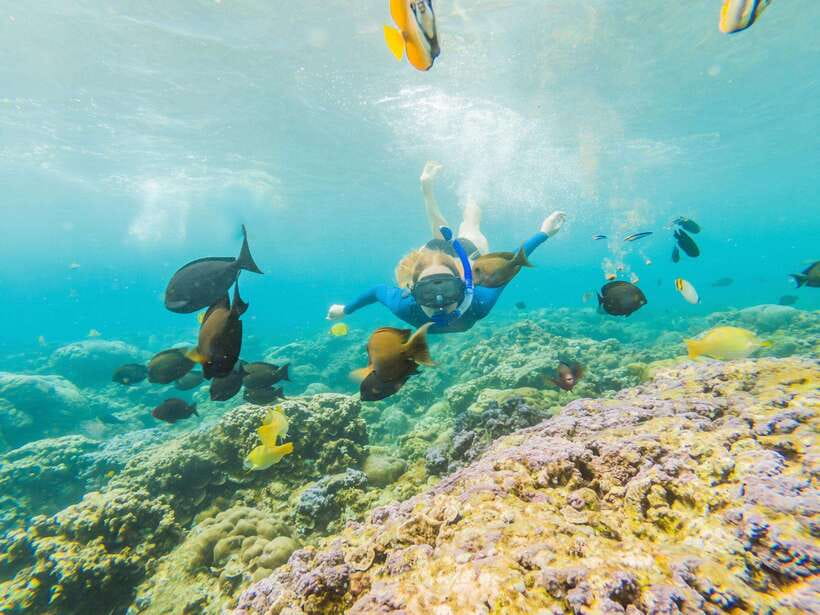 Ko Lanta: Snorkeling Adventure Tour to Koh Rok and Koh Haa - The return to Saladan Pier
