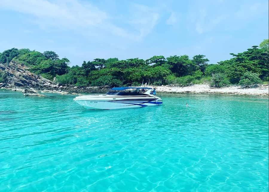 Ko Samui: Pig Island Snorkeling and Koh Tan Speedboat Tour - What to expect while snorkeling at Koh Tan
