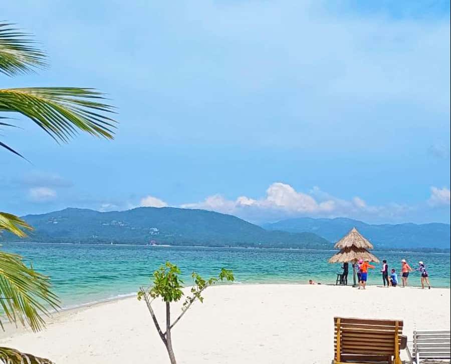 Ko Samui: Pig Island Snorkeling and Koh Tan Speedboat Tour - Afternoon departures and the return crossing