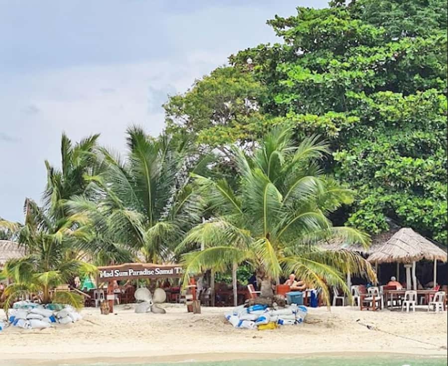 Ko Samui: Pig Island Snorkeling and Koh Tan Speedboat Tour - Who should book this half-day tour?