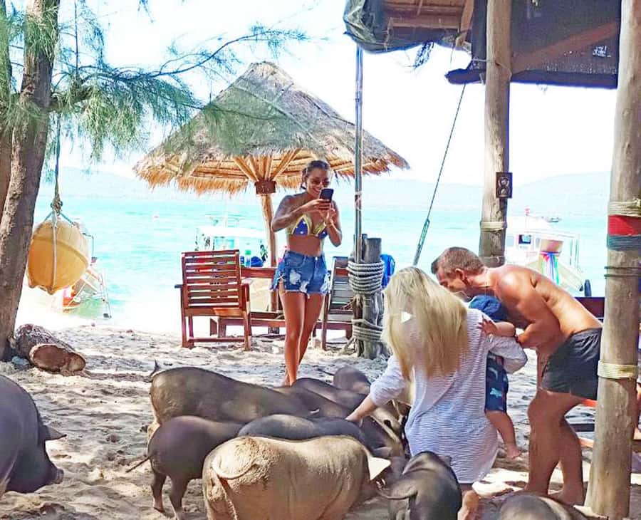 Ko Samui: Pig Island Snorkeling and Koh Tan Speedboat Tour - Should you book it?