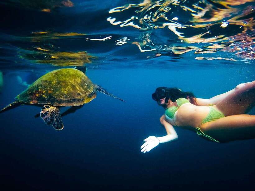 Ko Tao: Late Riser Snorkeling Tour with Lunch and Photos - Should you book the Koh Tao late-riser tour?