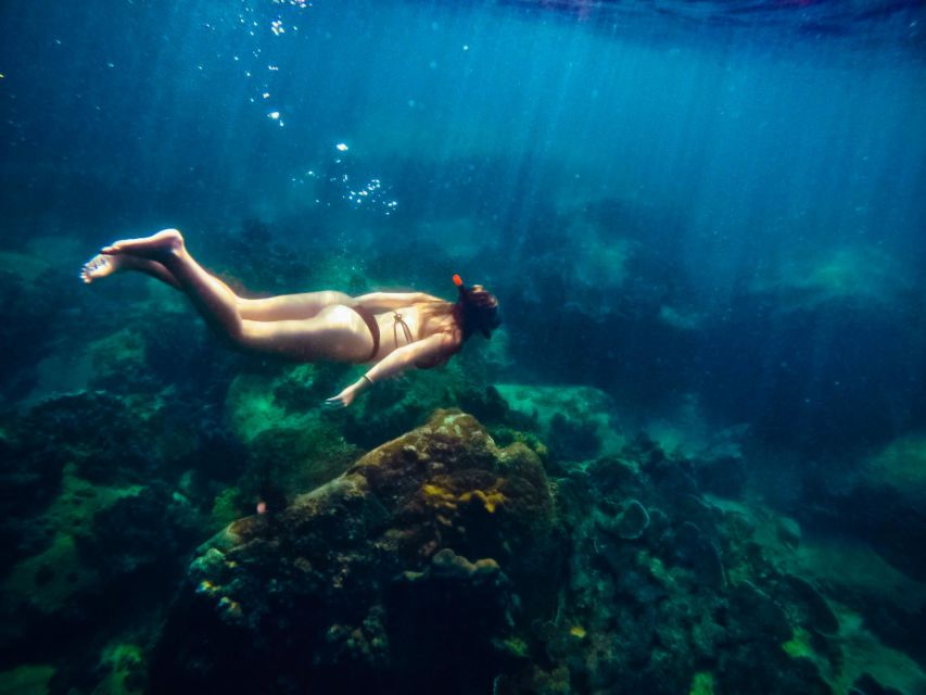 Ko Tao: Late Riser Snorkeling Tour with Lunch and Photos - Hin Wong Bay adds coral and more fish