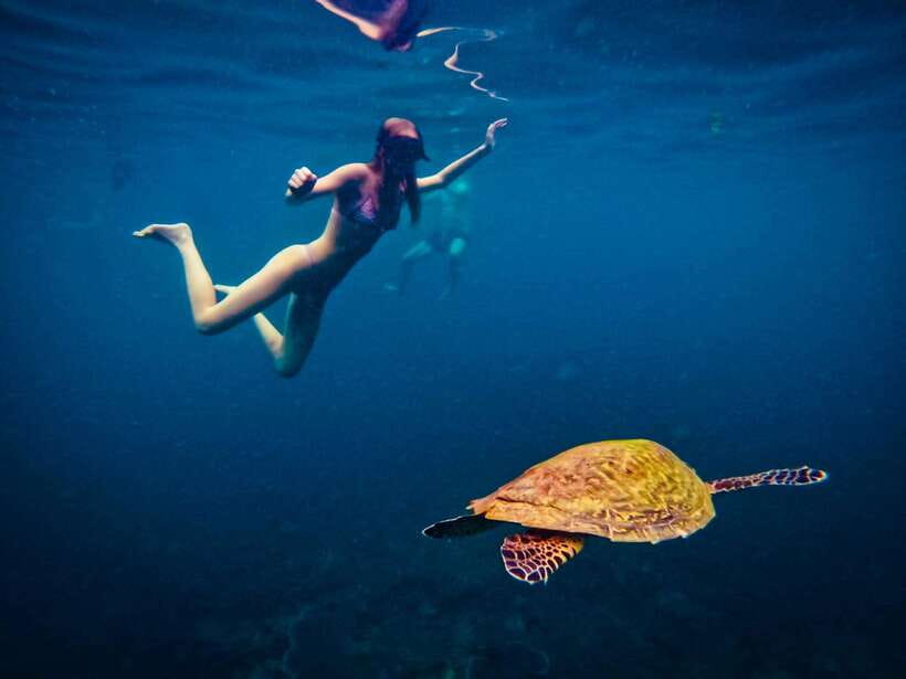 Ko Tao: Late Riser Snorkeling Tour with Lunch and Photos - Who should book this snorkeling day?
