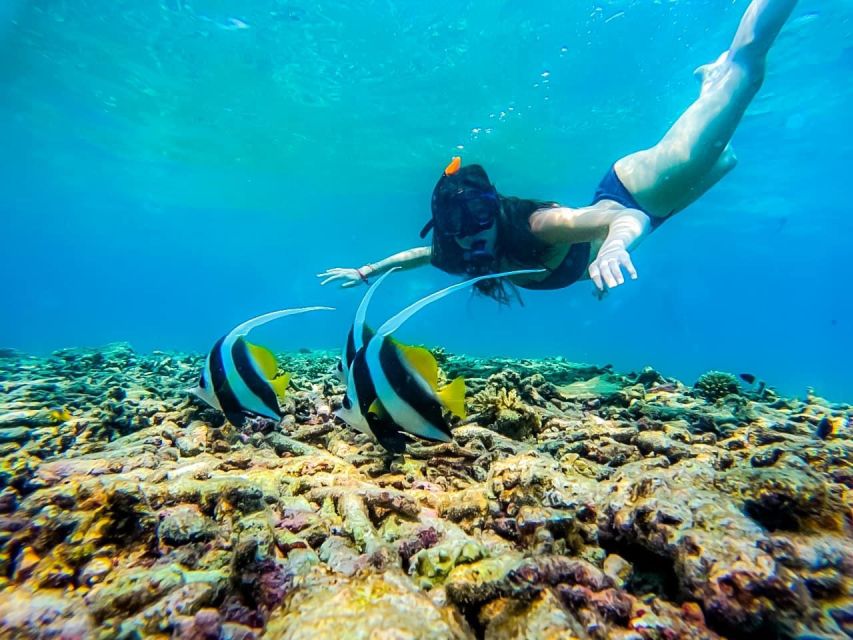 Ko Tao: Tao-Nangyuan Snorkeling Day Trip with Meals & Sunset - Food, drinks, and comfort onboard