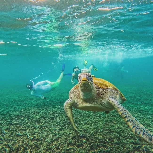 Ko Tao: Tao-Nangyuan Snorkeling Day Trip with Meals & Sunset - Mango Bay and the north coast of Koh Tao