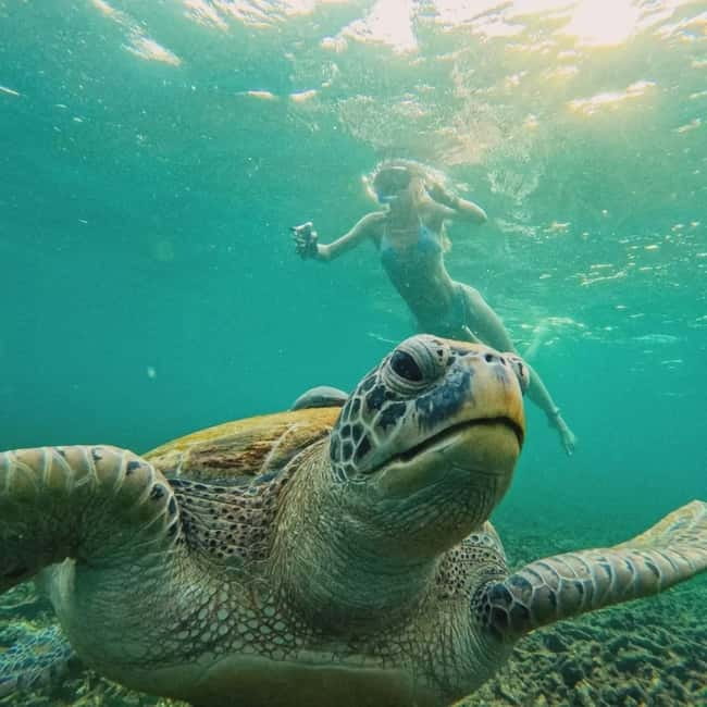 Ko Tao: Tao-Nangyuan Snorkeling Day Trip with Meals & Sunset - Aow Leuk for easy swimming and fish