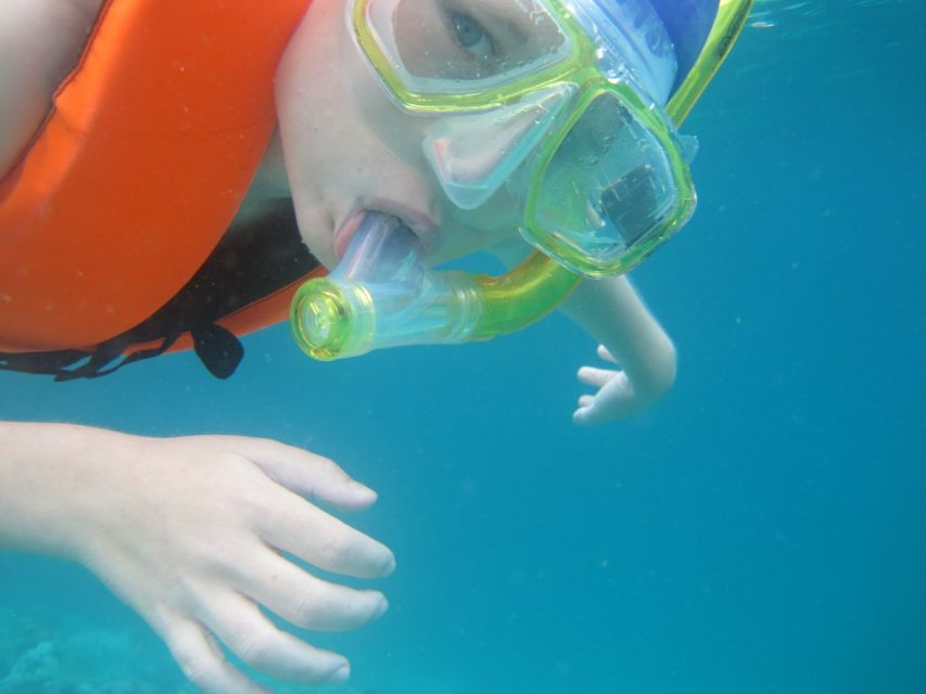 Koh Chang: Half-Day Snorkeling Adventure on a Speedboat - Price, park fee, and what you really pay