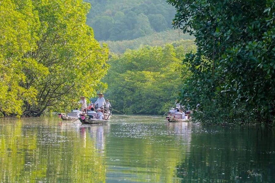 Koh Chang: Mangrove Forest Gondola Tour - Cancellation and booking flexibility