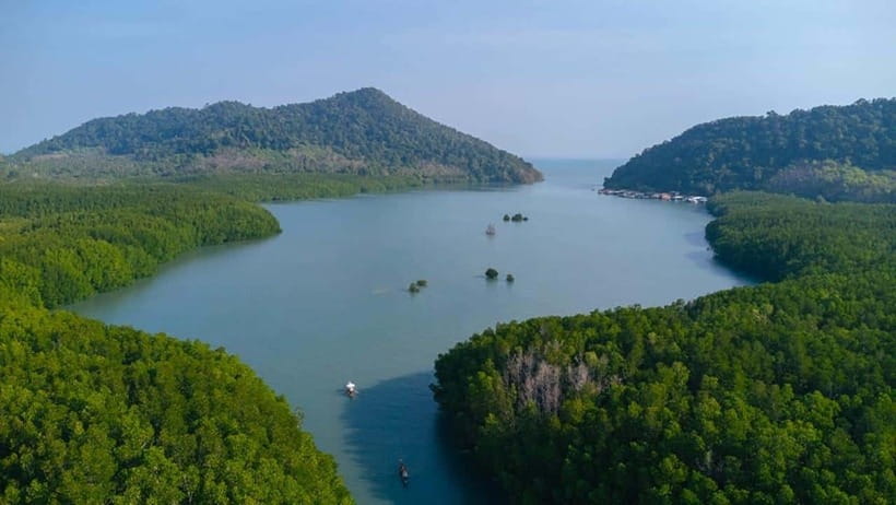 Koh Chang: Mangrove Forest Gondola Tour - Why the Salak Khok mangroves make a good setting