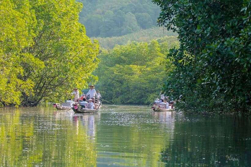 Koh Chang: Mangrove Forest Gondola Tour - The 40-minute gondola ride