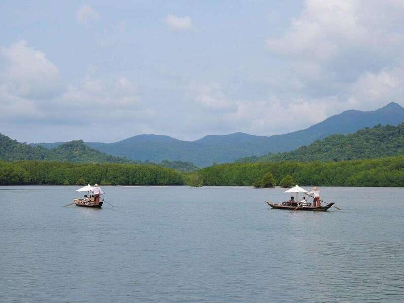 Koh Chang: Mangrove Forest Gondola Tour - Is 40 minutes long enough?