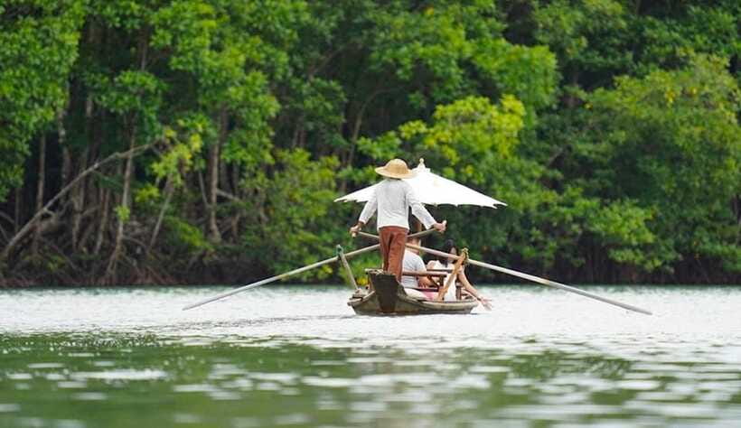 Koh Chang: Mangrove Forest Gondola Tour - How to fit it into your Koh Chang plans