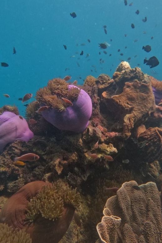 Koh Kood: Snorkeling Speedboat Tour with Lunch and Transfer - The language and crew experience
