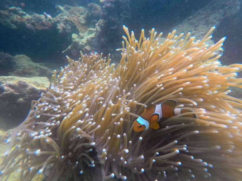 Koh Lanta: 4-Island Adventure Tour to Emerald Cave - Koh Ngai closes the day on a quiet note