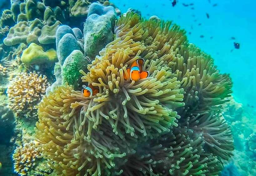 Koh Lanta: 4 Islands and Emerald Cave Snorkeling Trip - What to pack for the islands
