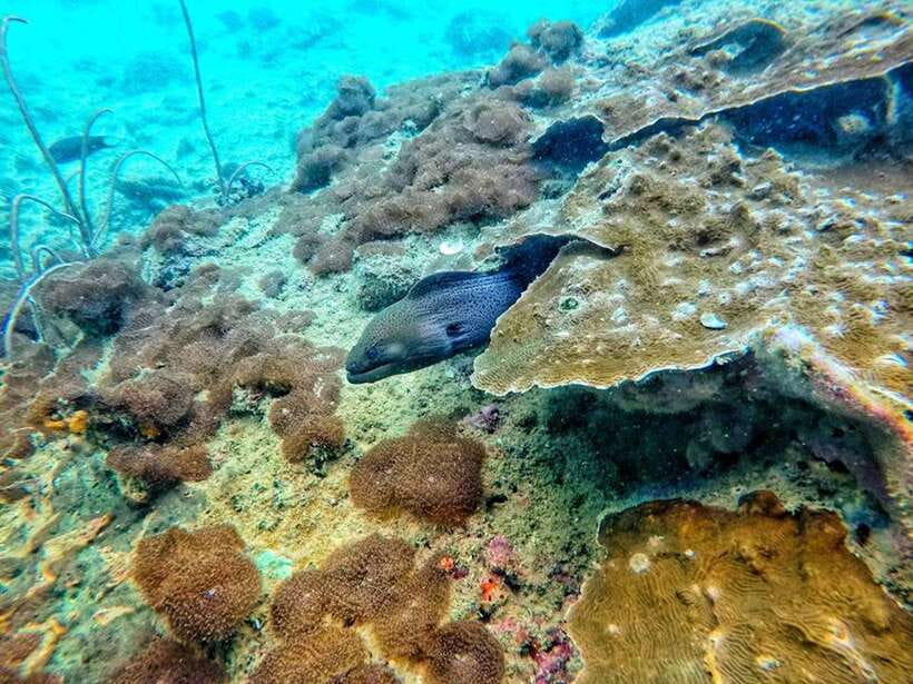 Koh Lanta: 4 Islands and Emerald Cave Snorkeling Trip - Who should book this island trip?