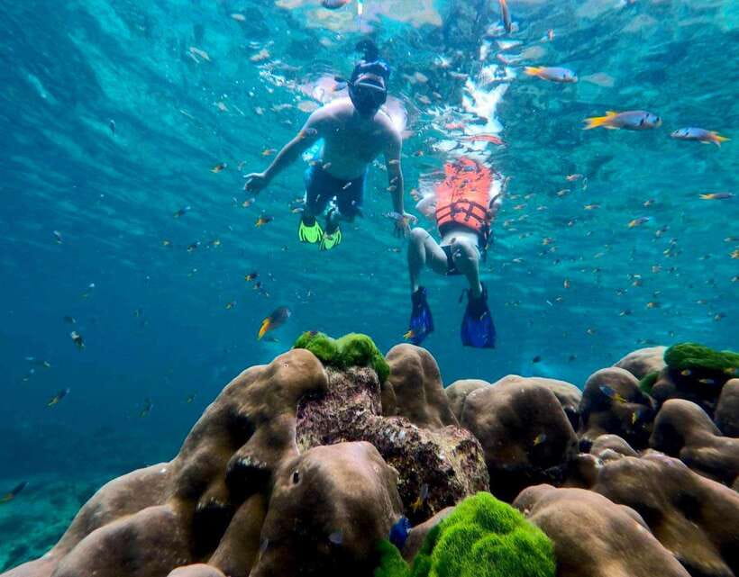 Koh Lanta: 4 Islands, Emerald Cave & Koh Kradan by Speedboat - Koh Chuek: your first look beneath the surface
