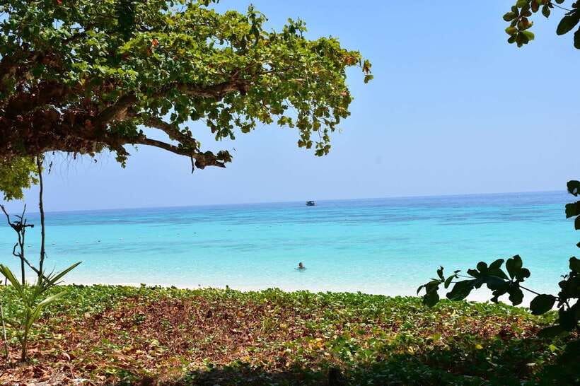 Koh Lanta: Adventure Sea Tour to Koh Rok and Koh Haa - Key points at a glance