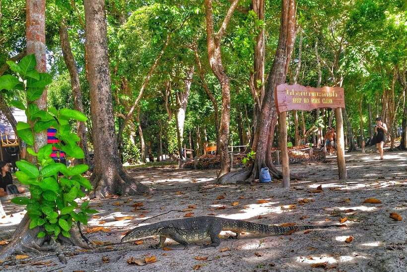 Koh Lanta: Adventure Sea Tour to Koh Rok and Koh Haa - What the service is like on board