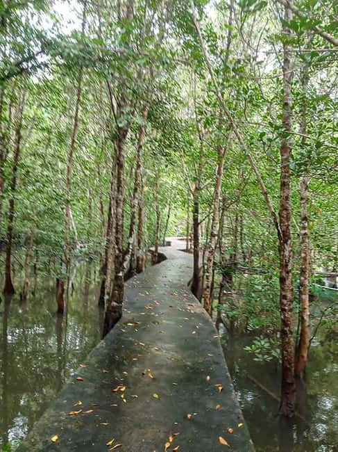 Koh Lanta Cultural Tuk-Tuk Tour: Old Town, Batik & Mangroves - What the driver adds, and where the limits are