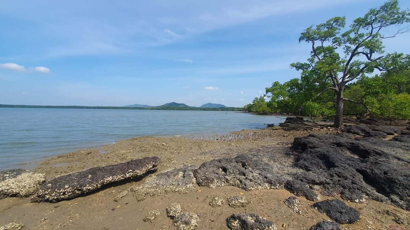 Koh Lanta Cultural Tuk-Tuk Tour: Old Town, Batik & Mangroves - Should you book it?