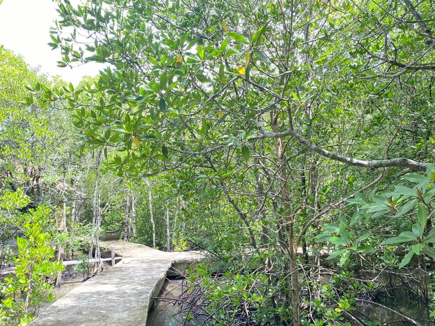 Koh Lanta:Mangrove + Elephant Camp Half Day Tour - The pace, comfort, and practical details